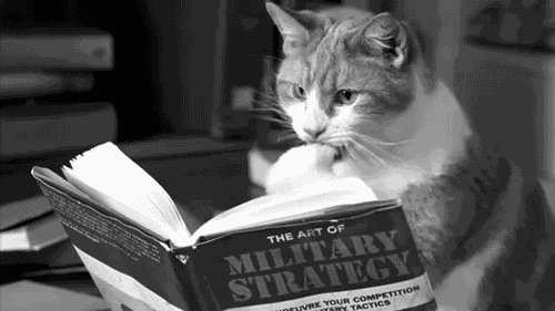 giphy Katze liest das Buch "military strategy"